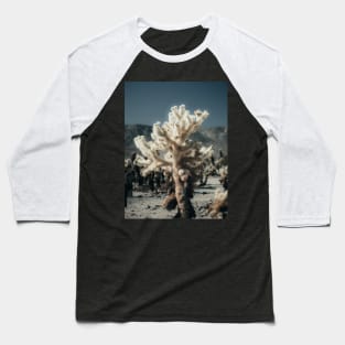 Cholla Cactus Photo from Joshua National Tree Park V3 Baseball T-Shirt